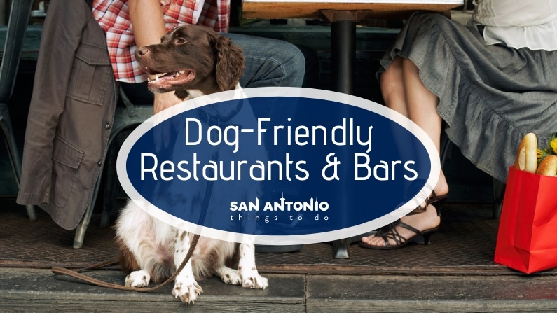 For Refresh or Sponsored Post – The Best Dog Friendly Restaurants and Bars in San Antonio
