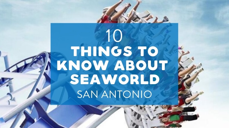 For Refresh or Sponsored Post – 10 Things to Know about SeaWorld San Antonio TX