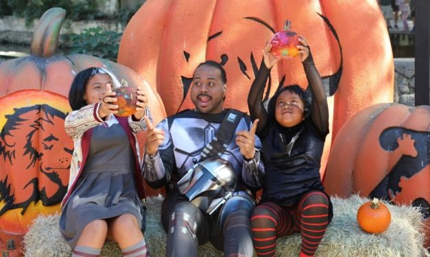 10 things to do in San Antonio with kids this weekend of October 28, 2022 include Zoo Boo!, Bibbidi Bobbidi Boo Fest, and more!